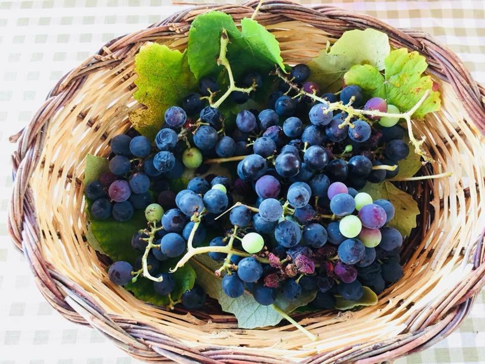 La Vallonea 카사마셀라 외부 사진